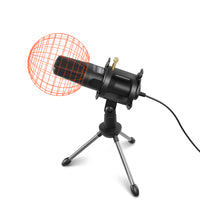 Micrófono Pro-Audio