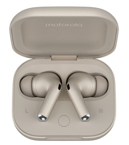 Motorola Buds +  | BUDS 44-1