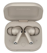 Motorola Buds +  | BUDS 44-1