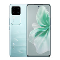 Vivo V30 | V2318