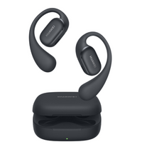 Huawei FreeArc